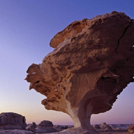 Bahariya oasis